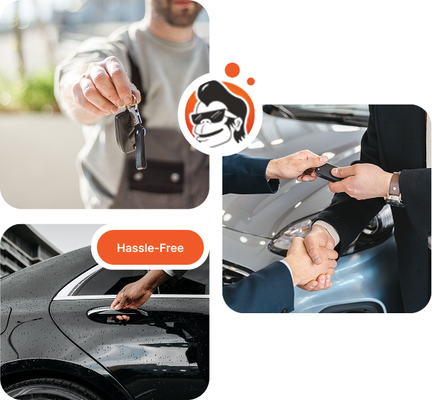 LazyChimp serviced locations